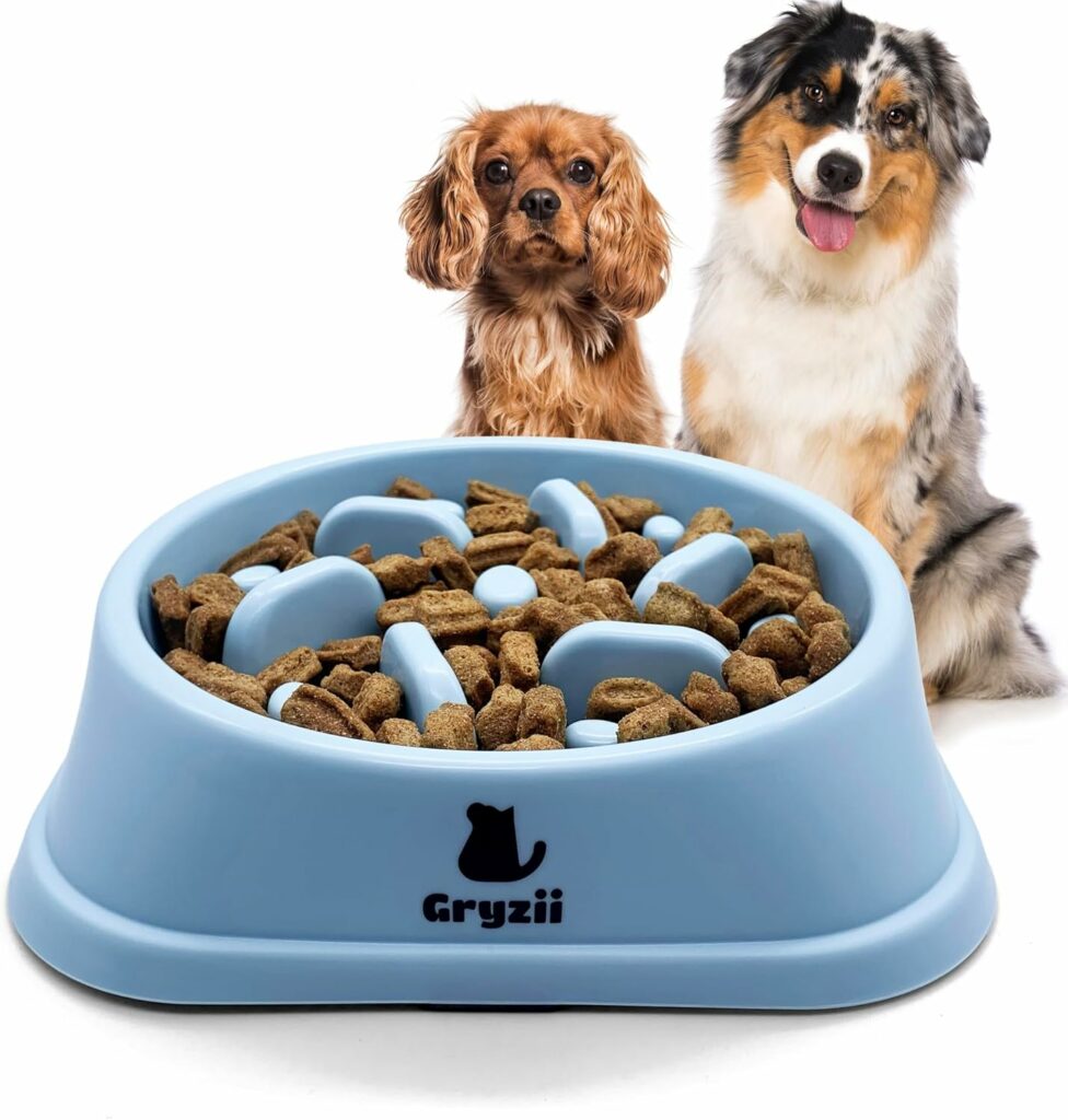 Gamelle-Anti-Glouton-976x1024 Comment empêcher mon chien ou chat de manger trop vite ?